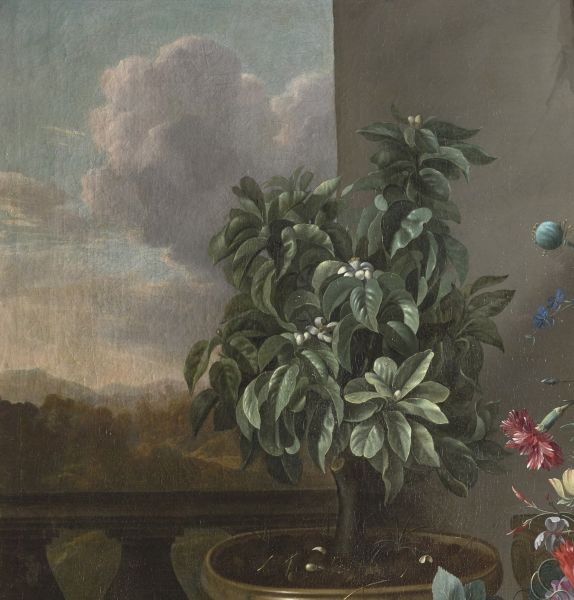 François Habert, "Corbeille de fleurs et oranger"